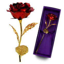 Forever Rose™