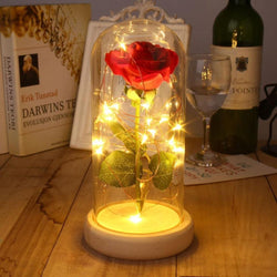 Enchanted Forever Rose