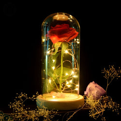 Enchanted Forever Rose